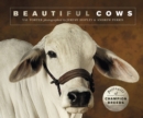 Image for Beautiful cows  : portraits of champion breeds