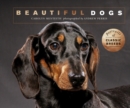 Image for Beautiful dogs