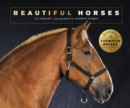Image for Beautiful horses  : portraits of champion breeds