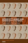 Image for Winnicott&#39;s babies and Winnicott&#39;s patients: psychoanalysis as transitional space