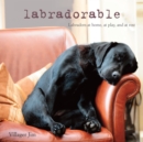 Image for Labradorable : Labradors at Home, at Large, and at Play