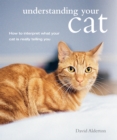 Image for Understanding your cat: how to interpret what your cat is really telling you