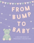 Image for From Bump to Baby : A Record Book of Pregnancy and Beyond