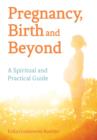 Image for Pregnancy, Birth and Beyond