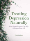 Image for Treating Depression Naturally
