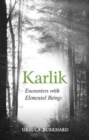 Image for Karlik  : encounters with elemental beings