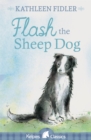 Image for Flash the sheep dog