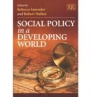 Image for Social Policy in a Developing World