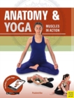 Image for Anatomy &amp; yoga  : muscles in action