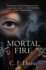 Image for Mortal fire