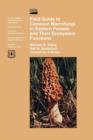 Image for Field Guide to Common Macrofungi in Eastern Forests and Their Ecosystem Function