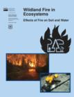 Image for Wildland Fire in Ecosystems