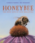 Image for Honeybee  : the busy life of Apis mellifera