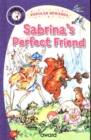 Image for Sabrina&#39;s Perfect Friend