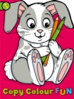 Image for Copy Colour Fun: Rabbit