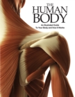 Image for The human body: an illustrated guide to your body and how it works