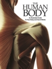 Image for The human body  : an illustrated guide to your body and how it works