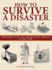 Image for How to survive a disaster  : earthquakes, floods, fires, airplane crashes, terrorism and much more