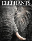 Image for Elephants  : stunning photographs of the world&#39;s biggest land mammals