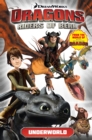 Image for Dragons Riders of Berk: Underworld