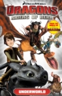 Image for Dragons, riders of Berk. : Volume 6