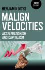 Image for Malign velocities  : accelerationism &amp; capitalism