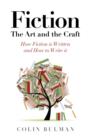 Image for Fiction  : the art and the craft