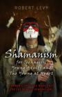 Image for Shamanism for teenagers, young adults and the young at heart  : shamanic practice made easy for the newest generations