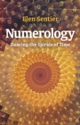 Image for Numerology  : dancing the spirals of time