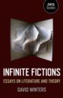Image for Infinite fictions  : essays on literature and theory