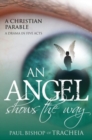 Image for An angel shows the way  : a Christian parable