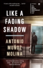 Image for Like a fading shadow