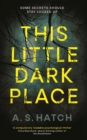 Image for This little dark place