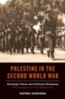 Image for Palestine in the Second World War: strategic plans &amp; political dilemmas - the emergence of a new Middle East