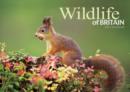 Image for Wildlife of Britain A4