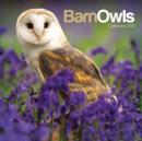 Image for Barn Owls Mini