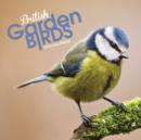 Image for British Garden Birds Mini
