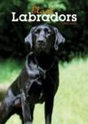 Image for Labrador Retrievers Black Diary : Diary (Engagement)