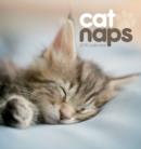 Image for Cat Naps Easel