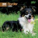 Image for Border Collies 365 Days Wall : 12x12