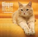 Image for Ginger Cats Wall : 12x12
