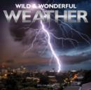 Image for Wild &amp; Wonderful Weather Wall : 12x12