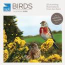 Image for RSPB Birds Wiro Wall : 12x12