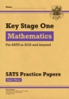 Image for New KS1 Maths SATS Practice Papers: Pack 3 (for the tests in 2018 and beyond)