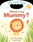 Image for Lift and Find: Where&#39;s My Mummy