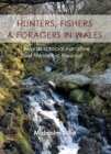 Image for Hunters, fishers and foragers in Wales: towards a social narrative of Mesolithic lifeways