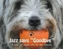 Image for Jazz says Goodbye