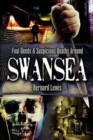 Image for Foul Deeds &amp; Suspicious Deaths Around Swansea