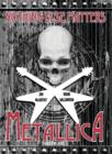 Image for Metallica Nothing Else Matters: The Graphic Novel