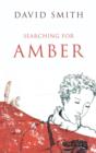 Image for Searching for Amber